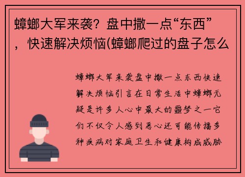 蟑螂大军来袭？盘中撒一点“东西”，快速解决烦恼(蟑螂爬过的盘子怎么办)