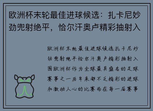 欧洲杯末轮最佳进球候选：扎卡尼妙劲兜射绝平，恰尔汗奥卢精彩抽射入围