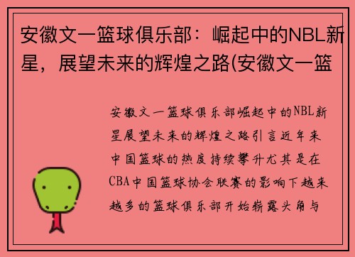 安徽文一篮球俱乐部：崛起中的NBL新星，展望未来的辉煌之路(安徽文一篮球训练基地)