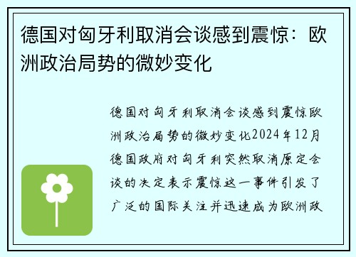 德国对匈牙利取消会谈感到震惊：欧洲政治局势的微妙变化
